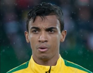 Luiz Gustavo - Fonte immagine: Ailura, Wikipedia