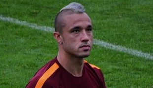 Nainggolan - Fonte immagine: Wolf, Wikipedia