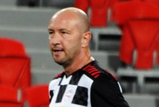 Zenga di Neogeolegend, Wikipedia