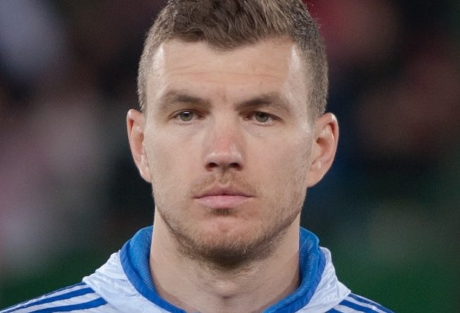 Dzeko - Fonte immagine: Ailura, Wikipedia