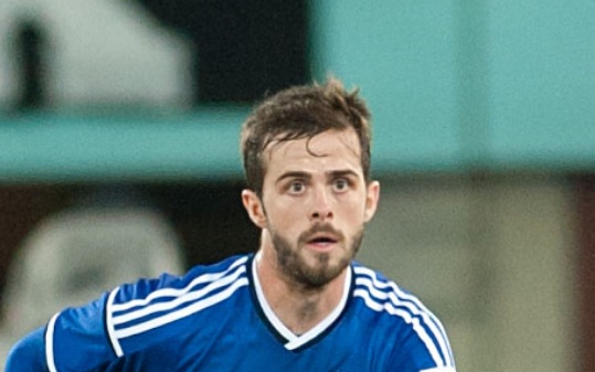 Pjanic - Fonte immagine: Ailura, Wikipedia